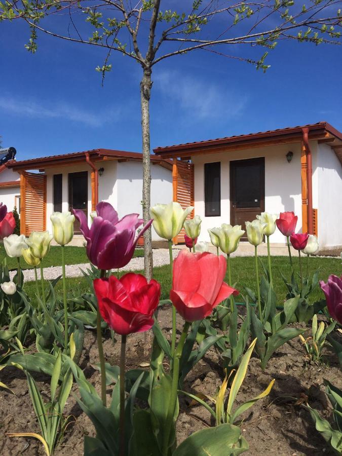 Casa Ivana Murighiol Exteriér fotografie